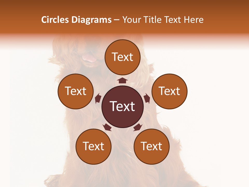 A Brown Dog Sitting On Top Of A White Floor PowerPoint Template