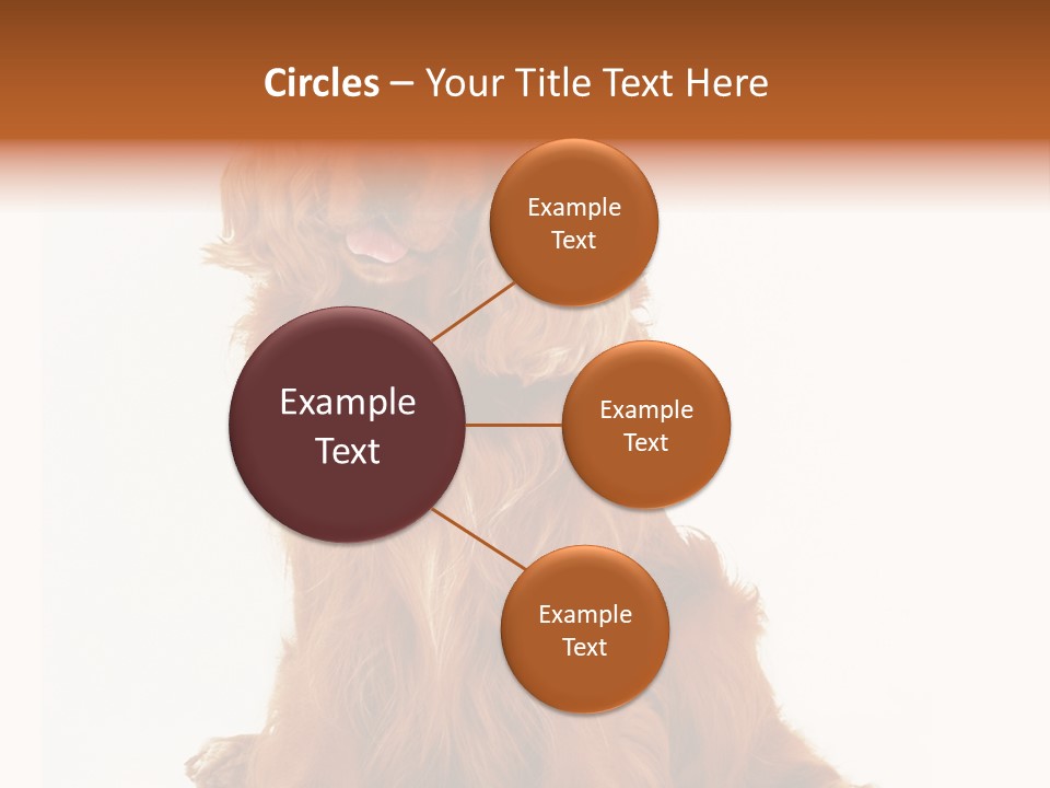 A Brown Dog Sitting On Top Of A White Floor PowerPoint Template