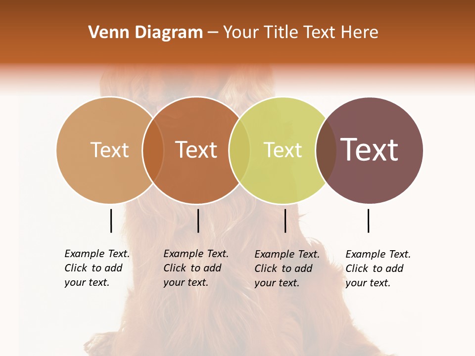 A Brown Dog Sitting On Top Of A White Floor PowerPoint Template