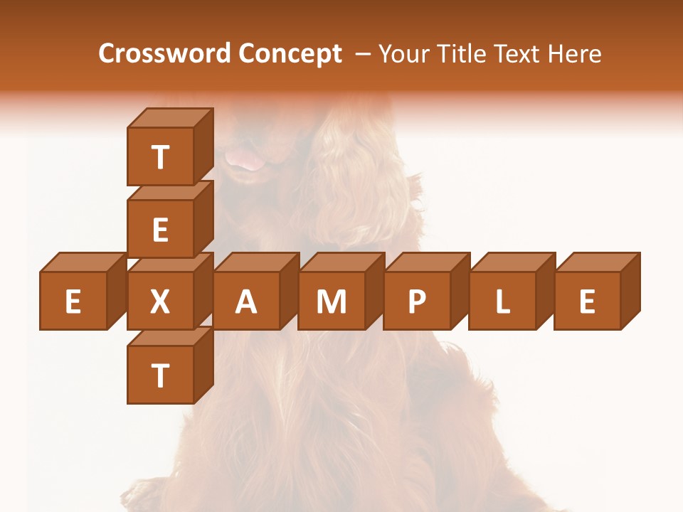 A Brown Dog Sitting On Top Of A White Floor PowerPoint Template