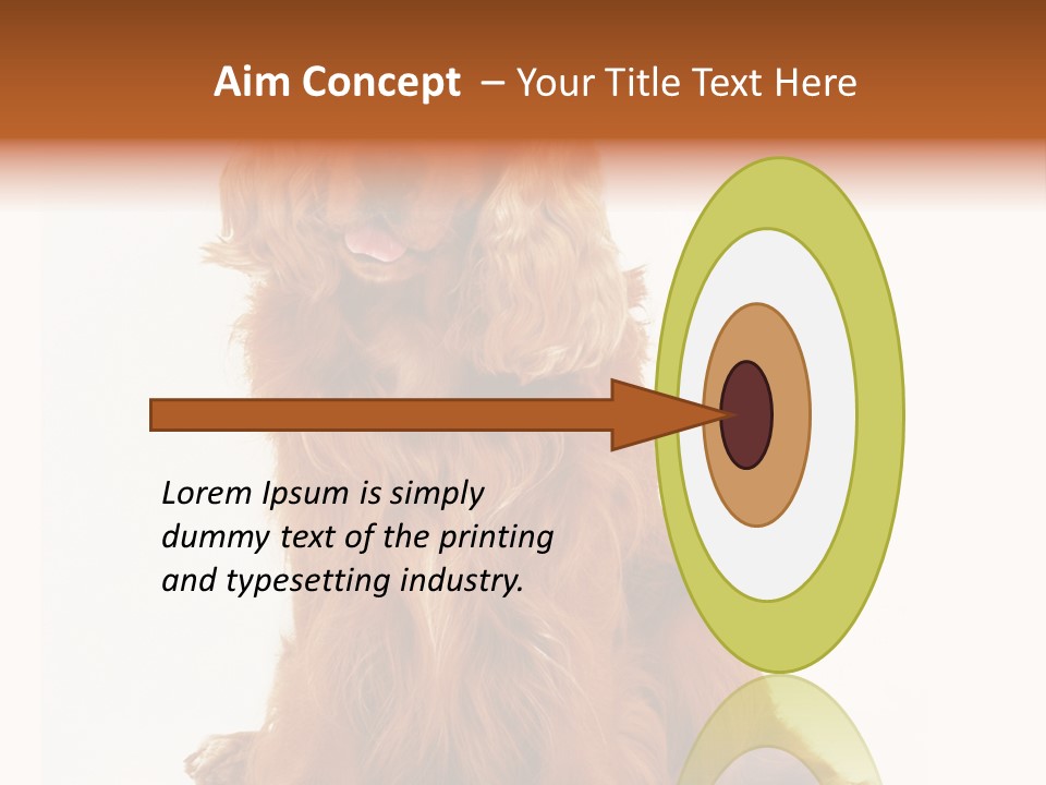 A Brown Dog Sitting On Top Of A White Floor PowerPoint Template
