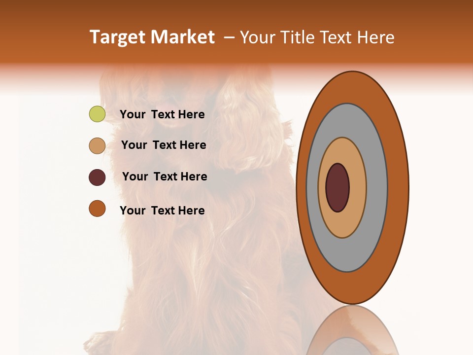 A Brown Dog Sitting On Top Of A White Floor PowerPoint Template