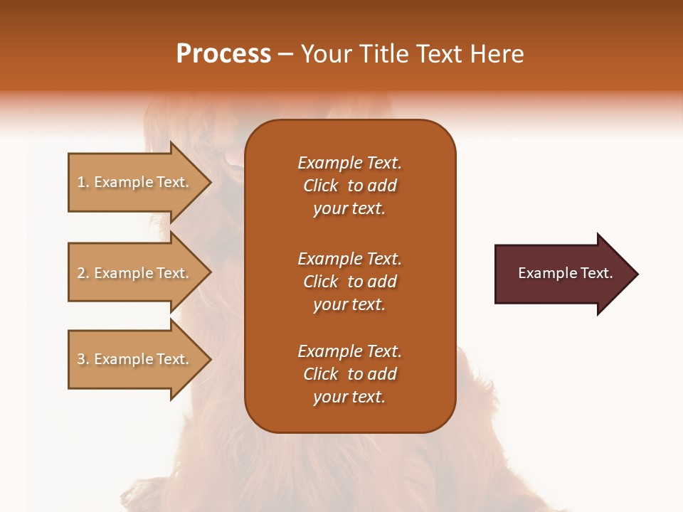 A Brown Dog Sitting On Top Of A White Floor PowerPoint Template