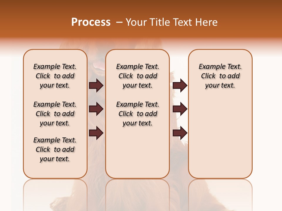 A Brown Dog Sitting On Top Of A White Floor PowerPoint Template