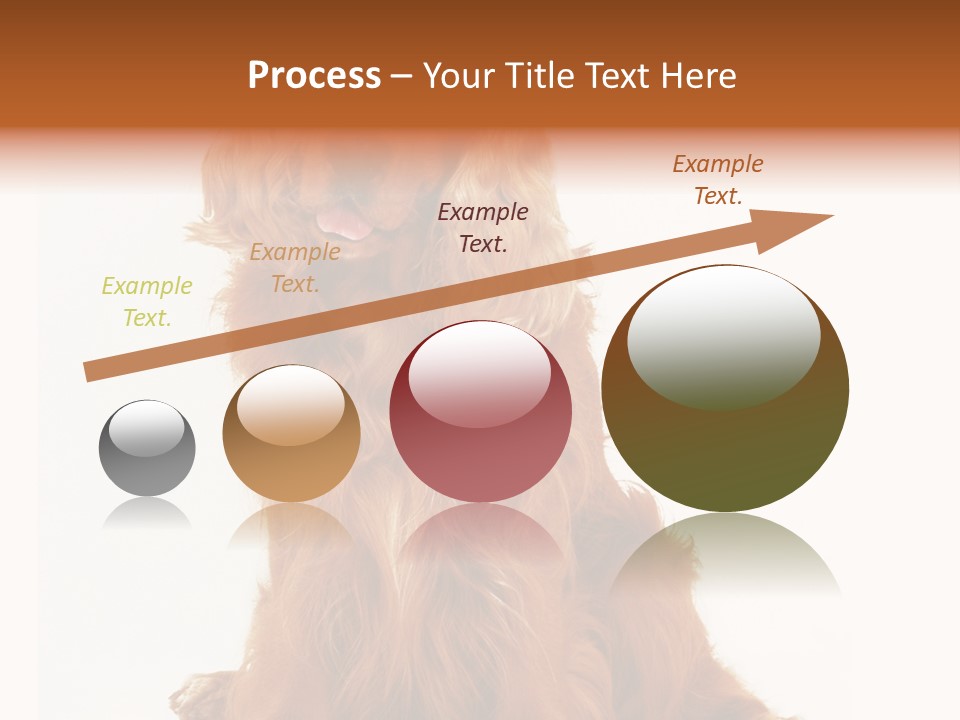 A Brown Dog Sitting On Top Of A White Floor PowerPoint Template