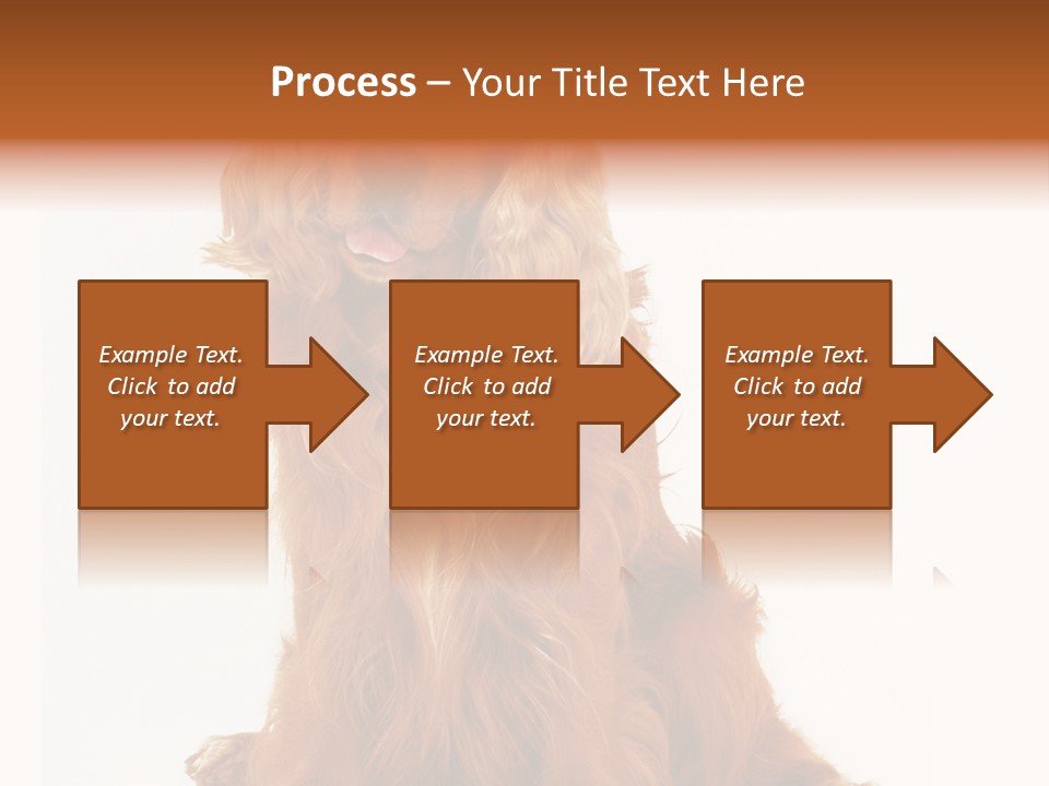 A Brown Dog Sitting On Top Of A White Floor PowerPoint Template