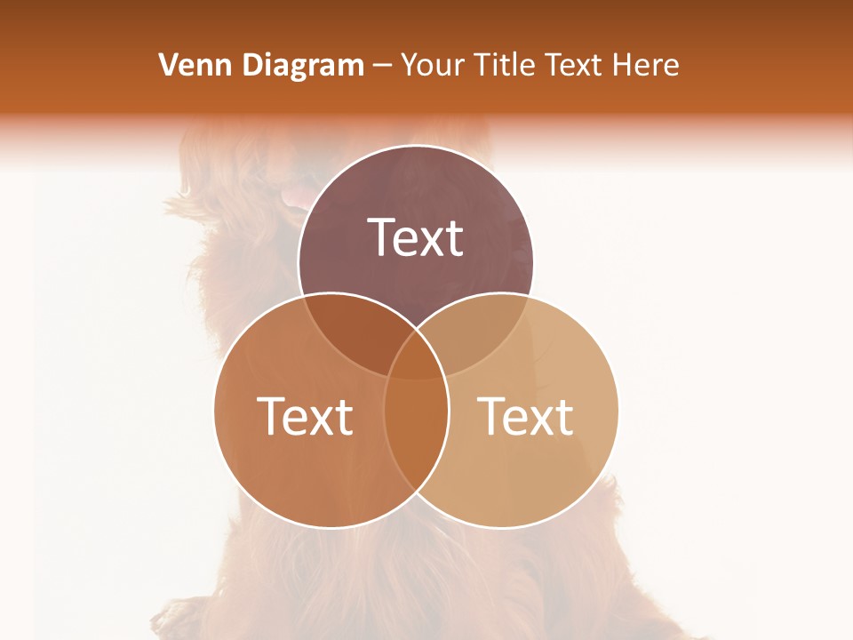 A Brown Dog Sitting On Top Of A White Floor PowerPoint Template