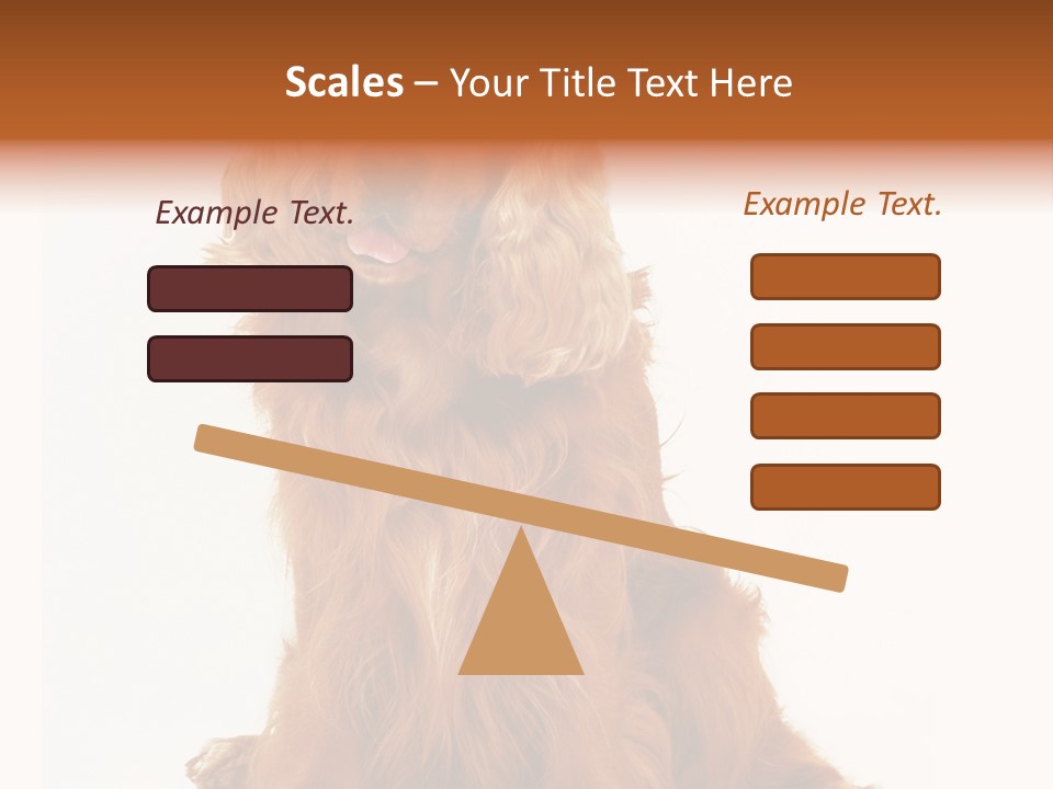 A Brown Dog Sitting On Top Of A White Floor PowerPoint Template