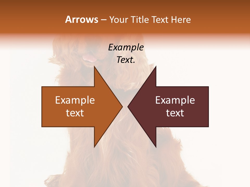 A Brown Dog Sitting On Top Of A White Floor PowerPoint Template