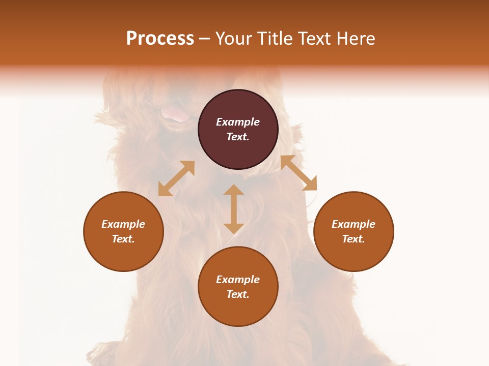 A Brown Dog Sitting On Top Of A White Floor PowerPoint Template