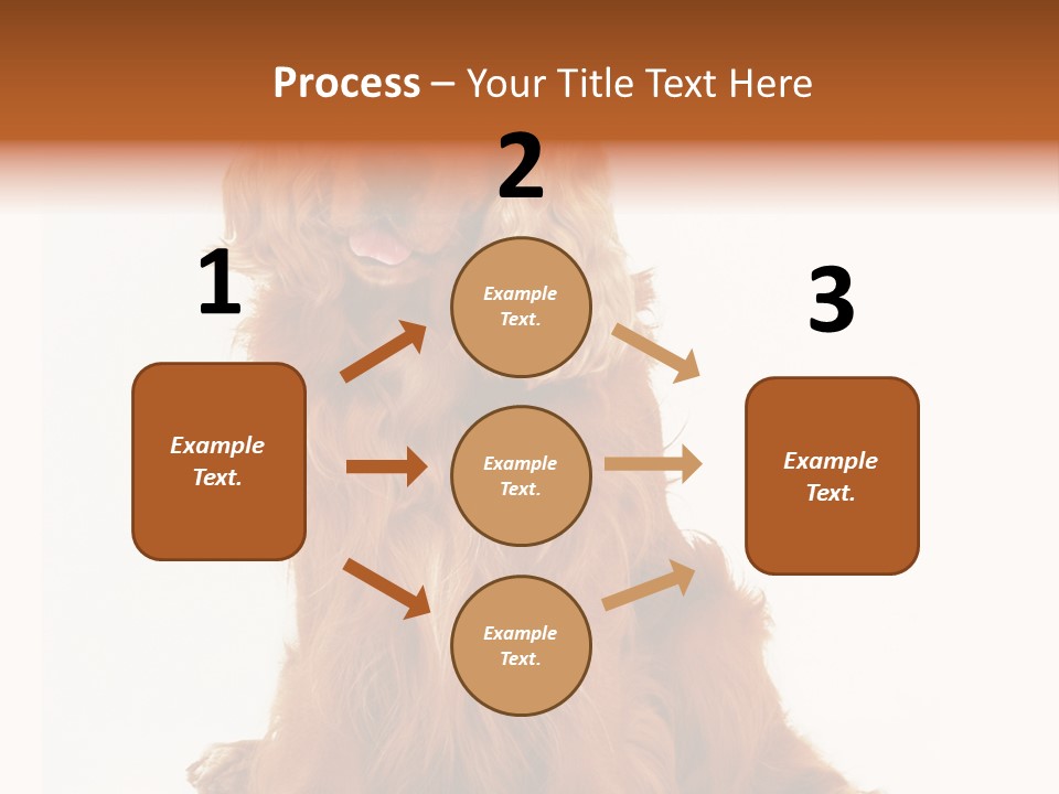 A Brown Dog Sitting On Top Of A White Floor PowerPoint Template