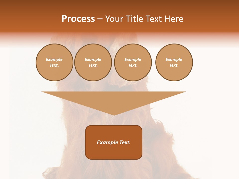 A Brown Dog Sitting On Top Of A White Floor PowerPoint Template