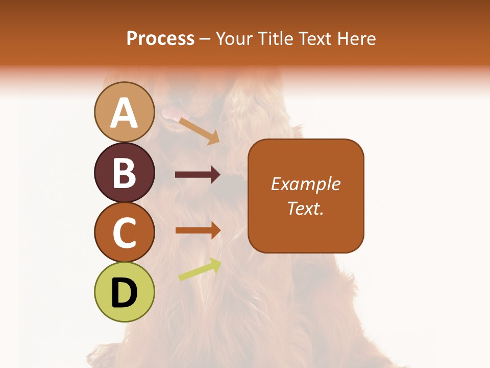A Brown Dog Sitting On Top Of A White Floor PowerPoint Template