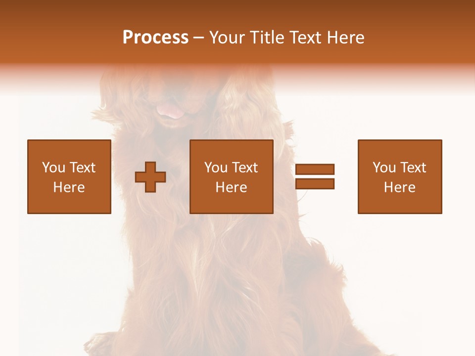 A Brown Dog Sitting On Top Of A White Floor PowerPoint Template