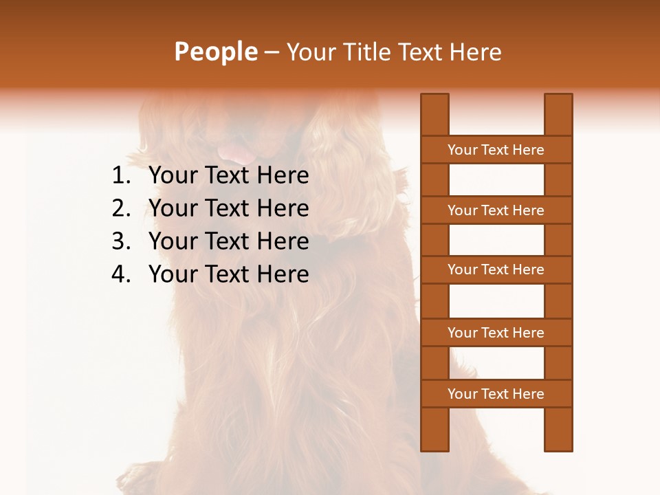 A Brown Dog Sitting On Top Of A White Floor PowerPoint Template