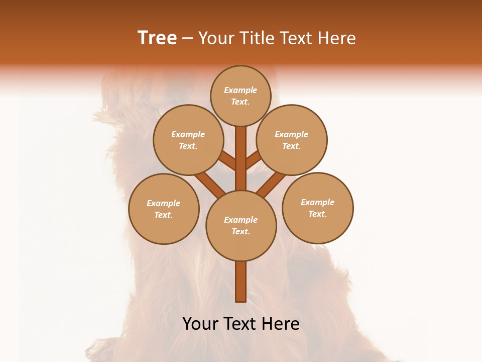 A Brown Dog Sitting On Top Of A White Floor PowerPoint Template