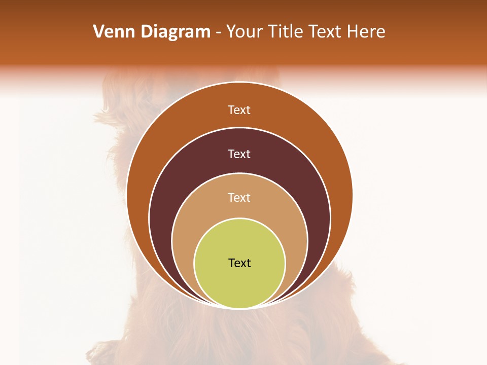 A Brown Dog Sitting On Top Of A White Floor PowerPoint Template