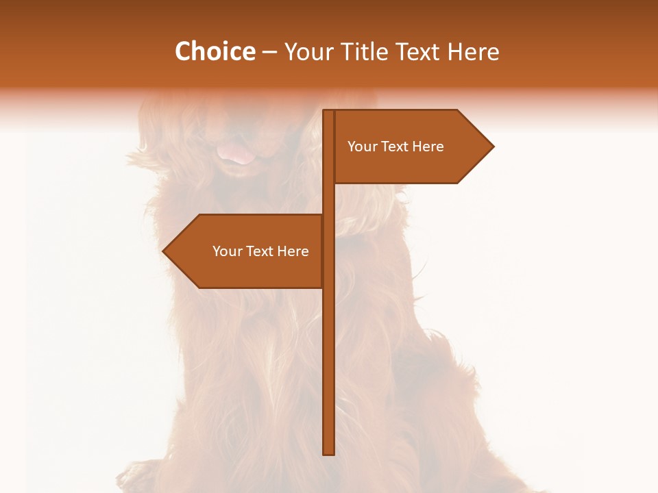 A Brown Dog Sitting On Top Of A White Floor PowerPoint Template