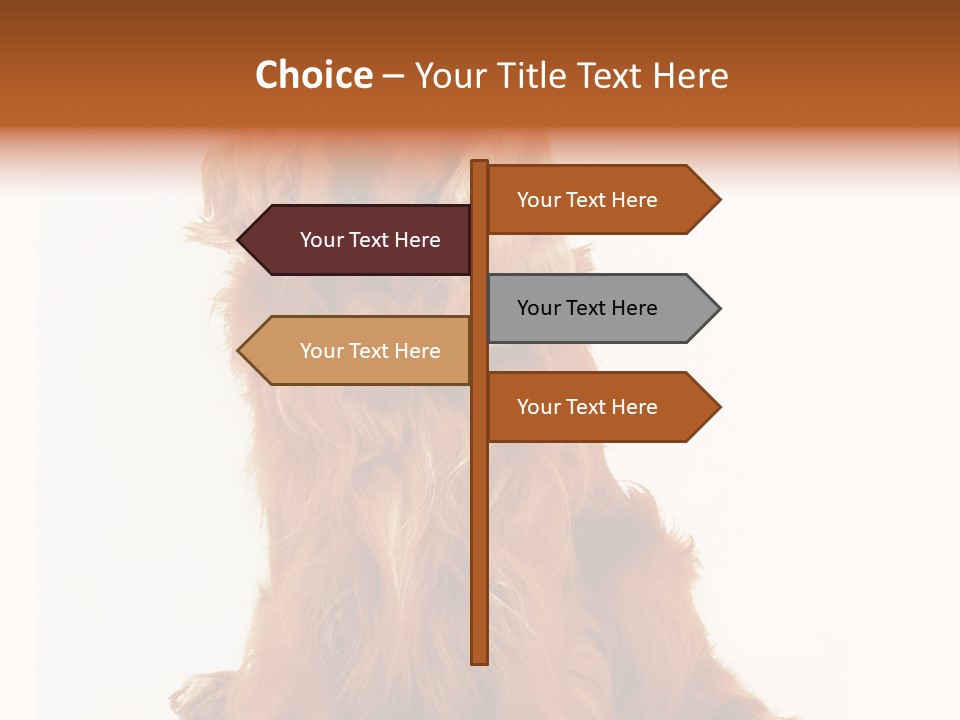 A Brown Dog Sitting On Top Of A White Floor PowerPoint Template
