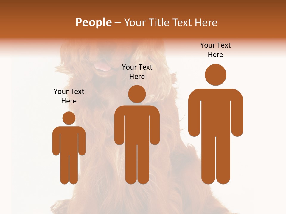 A Brown Dog Sitting On Top Of A White Floor PowerPoint Template