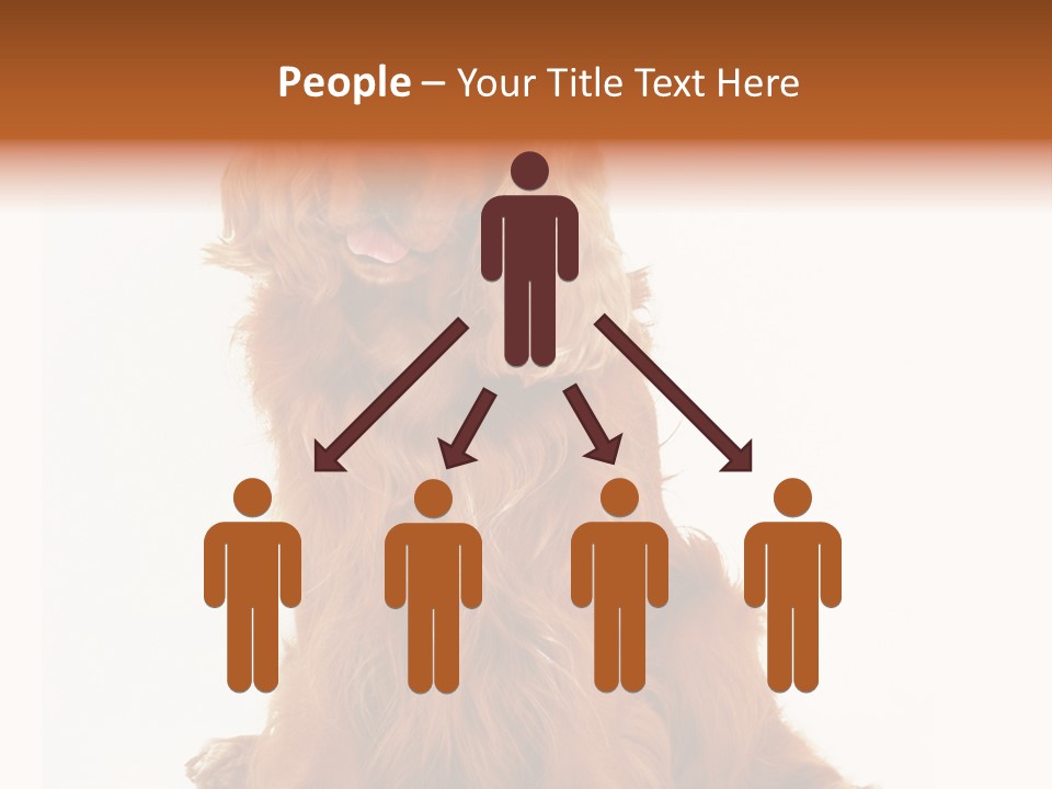 A Brown Dog Sitting On Top Of A White Floor PowerPoint Template