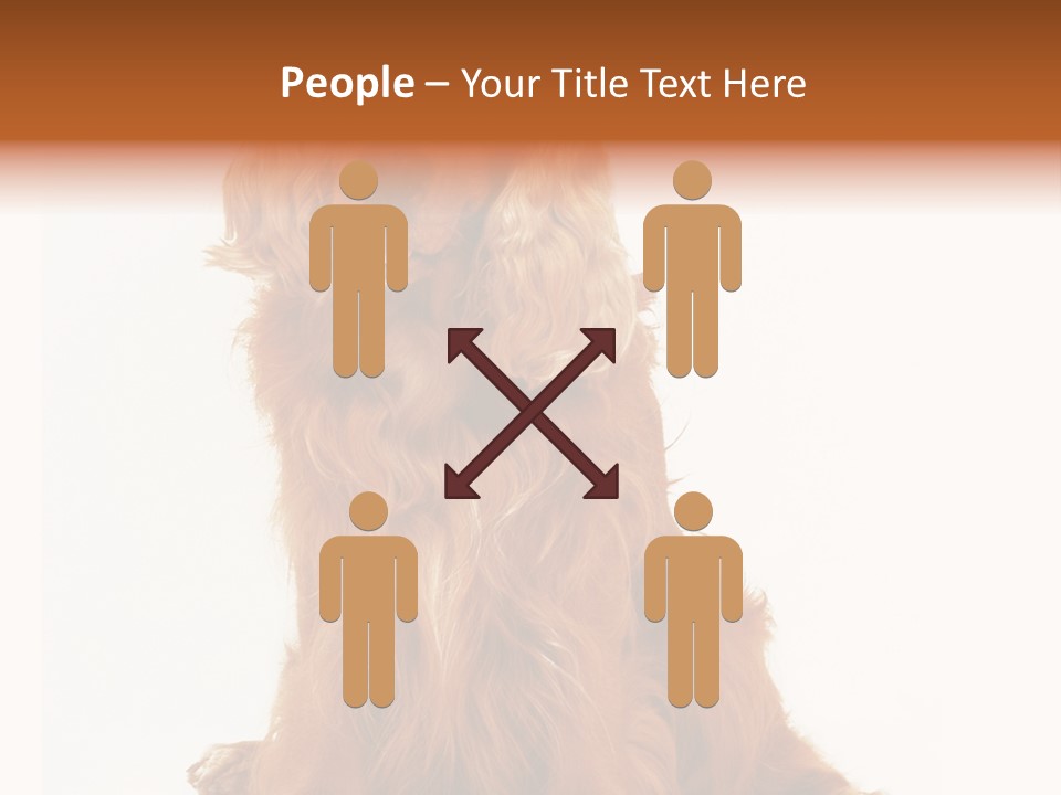 A Brown Dog Sitting On Top Of A White Floor PowerPoint Template