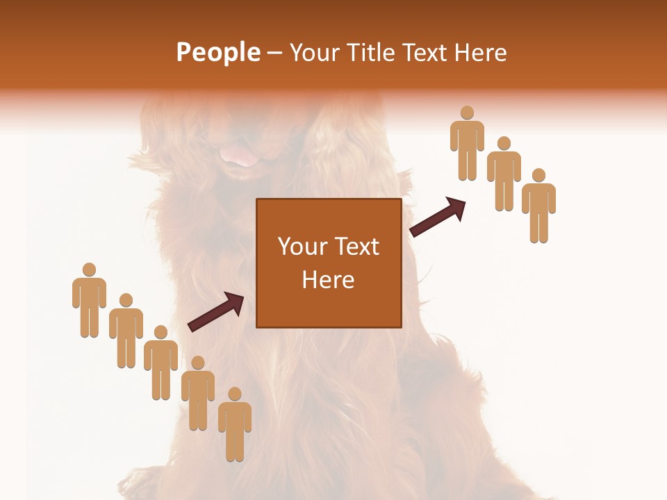 A Brown Dog Sitting On Top Of A White Floor PowerPoint Template
