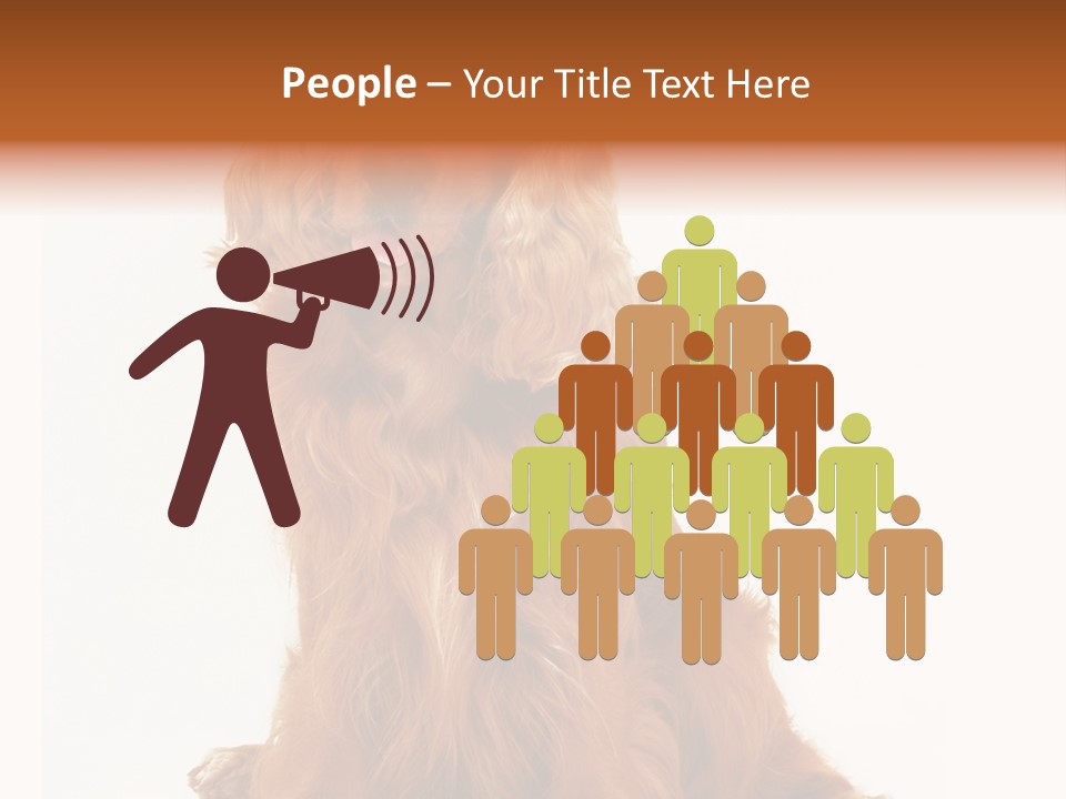 A Brown Dog Sitting On Top Of A White Floor PowerPoint Template