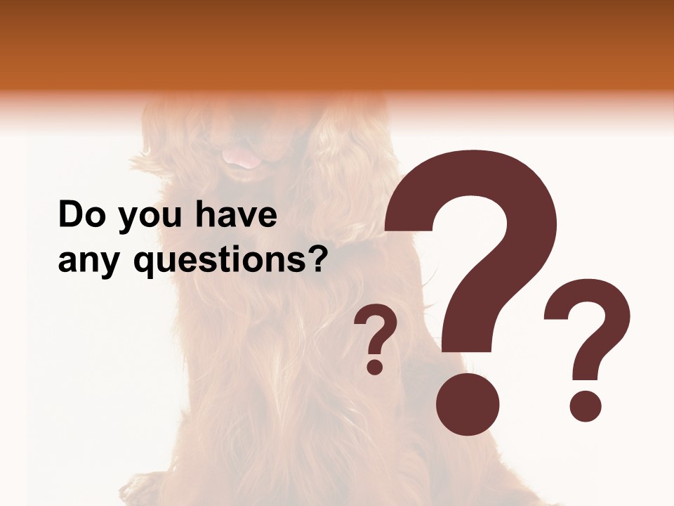 A Brown Dog Sitting On Top Of A White Floor PowerPoint Template