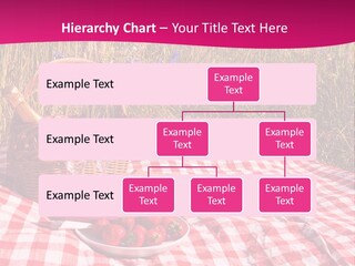 A Picnic With A Basket Of Strawberries And A Plate Of Strawberries On A PowerPoint Template