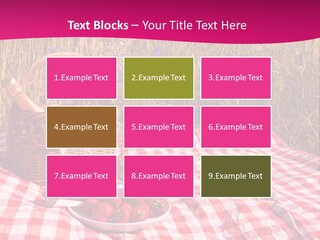 A Picnic With A Basket Of Strawberries And A Plate Of Strawberries On A PowerPoint Template