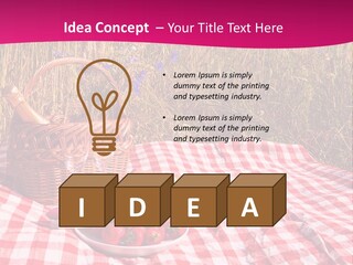 A Picnic With A Basket Of Strawberries And A Plate Of Strawberries On A PowerPoint Template