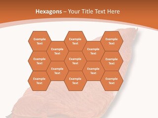 A Piece Of Salmon On A White Plate PowerPoint Template
