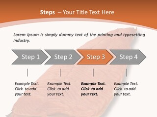 A Piece Of Salmon On A White Plate PowerPoint Template