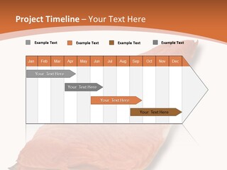A Piece Of Salmon On A White Plate PowerPoint Template