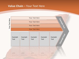 A Piece Of Salmon On A White Plate PowerPoint Template