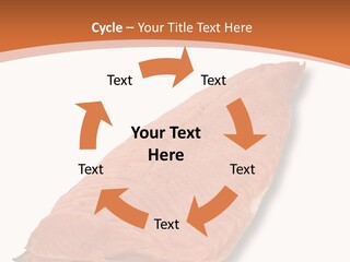 A Piece Of Salmon On A White Plate PowerPoint Template
