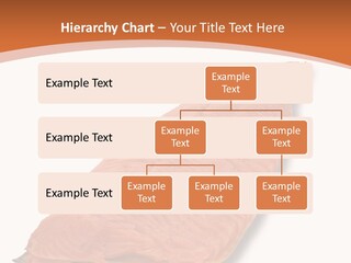 A Piece Of Salmon On A White Plate PowerPoint Template