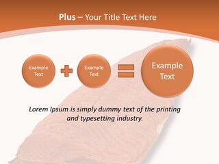 A Piece Of Salmon On A White Plate PowerPoint Template