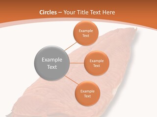 A Piece Of Salmon On A White Plate PowerPoint Template