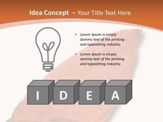 A Piece Of Salmon On A White Plate PowerPoint Template
