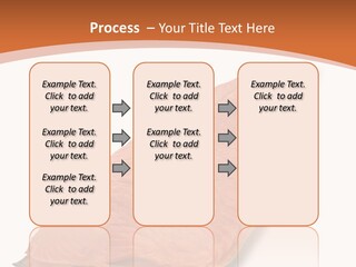 A Piece Of Salmon On A White Plate PowerPoint Template