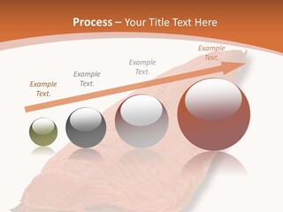 A Piece Of Salmon On A White Plate PowerPoint Template