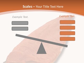 A Piece Of Salmon On A White Plate PowerPoint Template