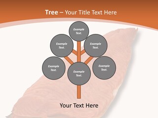 A Piece Of Salmon On A White Plate PowerPoint Template