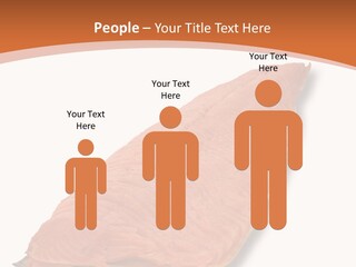 A Piece Of Salmon On A White Plate PowerPoint Template