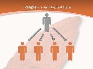 A Piece Of Salmon On A White Plate PowerPoint Template