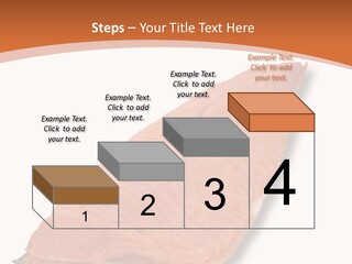 A Piece Of Salmon On A White Plate PowerPoint Template