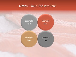 A Group Of Salmons Sitting On Top Of A Pile Of Ice PowerPoint Template