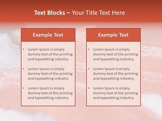 A Group Of Salmons Sitting On Top Of A Pile Of Ice PowerPoint Template